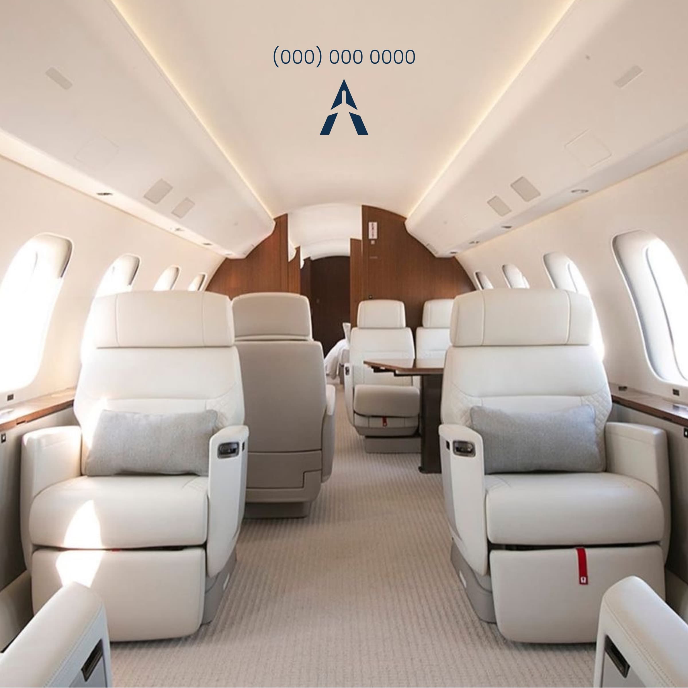 Publicación de AERON para redes con el interior de un jet privado