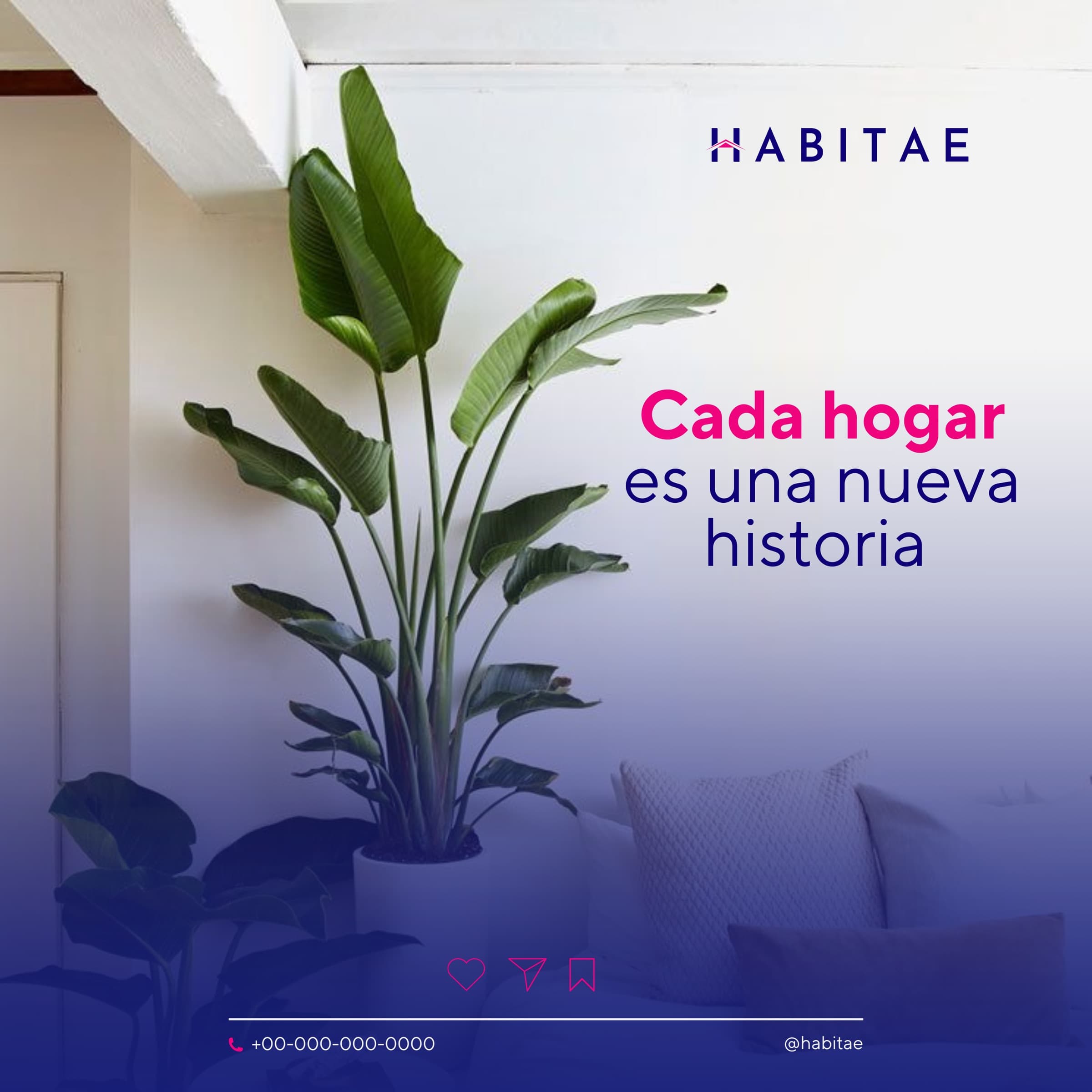 Publicación de HABITAE para redes: Cada hogar es una nueva historia