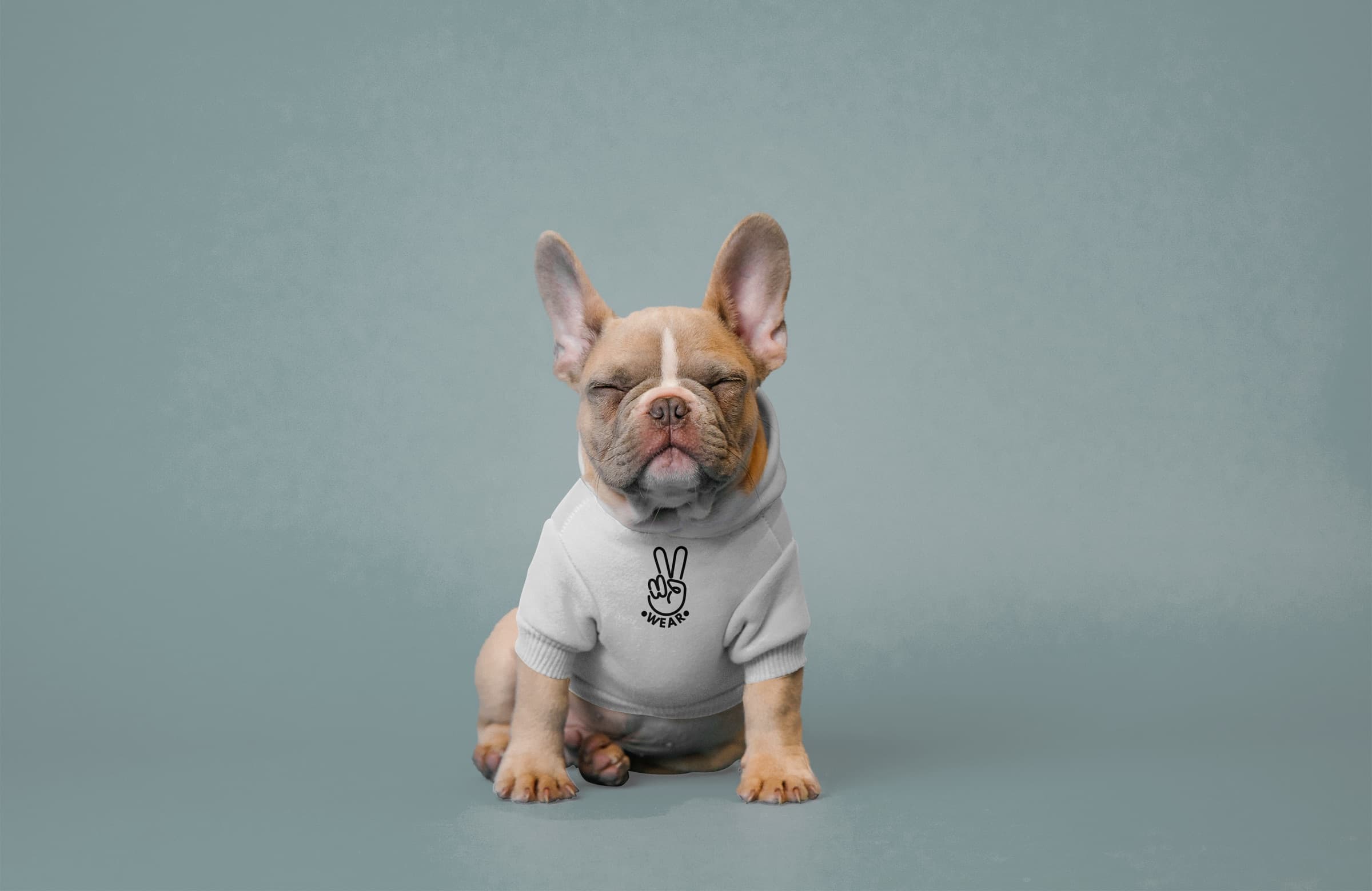 Perro con sudadera de TWO WEAR